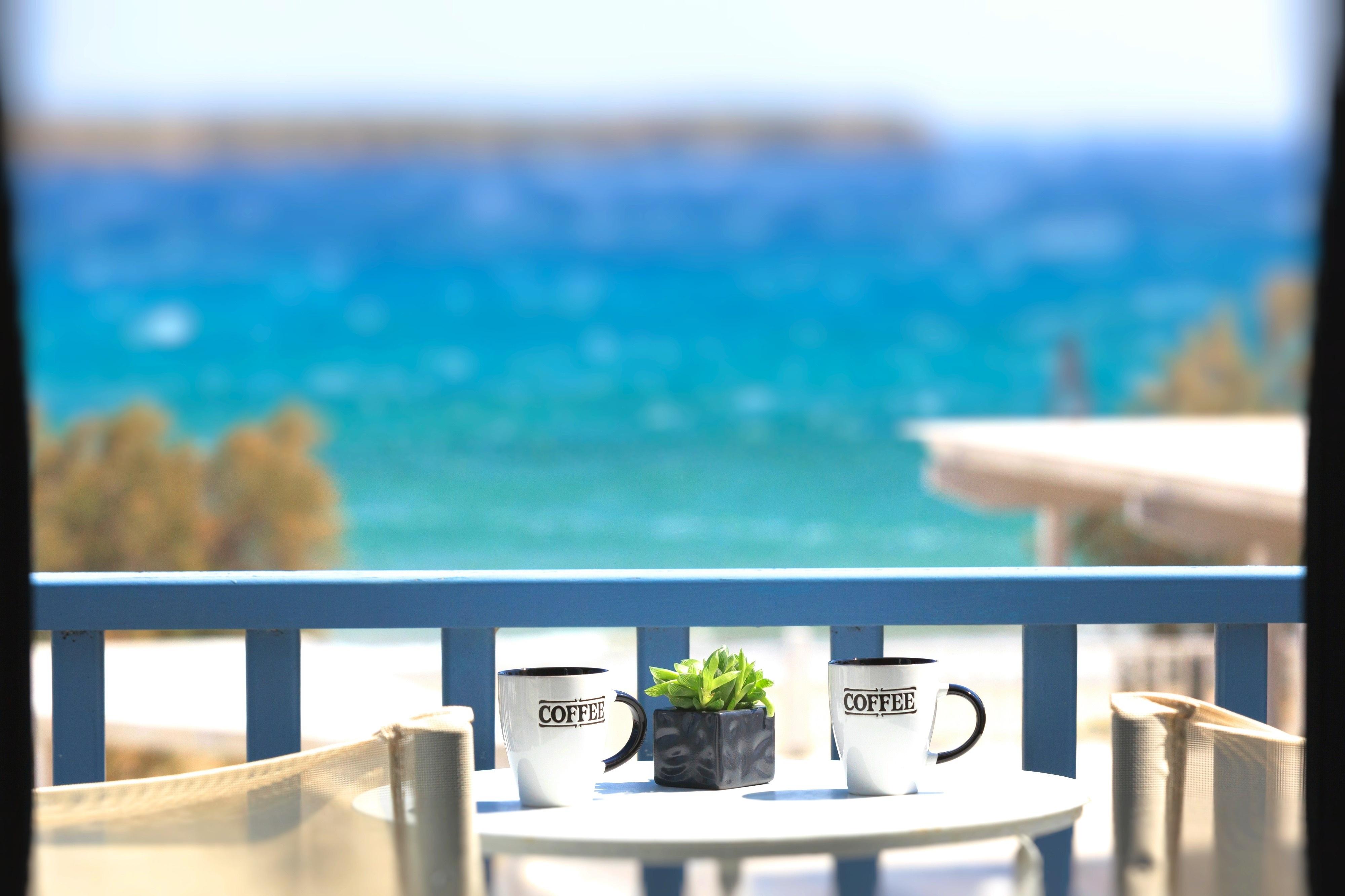 Acqua Marina Resort Χρυσή Ακτή Εξωτερικό φωτογραφία